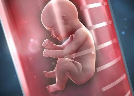 武汉试管婴儿多少钱？ 试管婴儿多少钱？