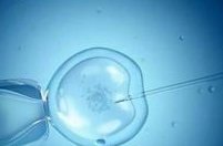 男性梅毒tppa阳性患者可以做试管婴儿吗？