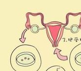 2026吉林试管婴儿医院哪家好？影响试管成功率的因素有哪些？