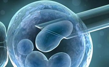 特需自怀生出来的孩子跟谁比较像 会越来越像自己吗